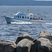 Whale watching boat.