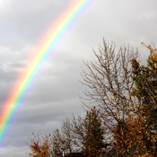 Spectacular rainbow