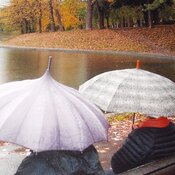 pluie d&#39;automne