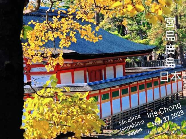 Nov 27 2023 Autumn Colors-Miyajima Hiroshima Japan Vacation Iris Chong Toronto Miyazaki, 45