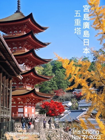 Nov 27 2023 Autumn colors-Miyajima Hiroshima Japan vacation Iris Chong Toronto Miyajima, 34
