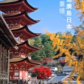 Nov 27 2023 Autumn colors-Miyajima Hiroshima Japan vacation Iris Chong Toronto