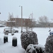 Snowy day in Barrie!