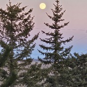 Full Moon over Okotoks