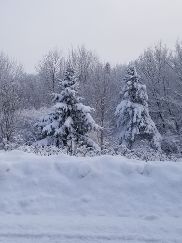 Beauté de l'hiver Saint-Sauveur, QC