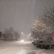 Severe Snow Storm in Greater Toronto Area