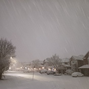 Severe Snow Storm in Greater Toronto Area