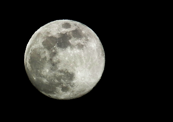 Wolf Moon Tonight Inverness, Nova Scotia