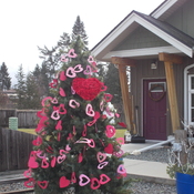 Valentine Tree for our Canadian Vets!