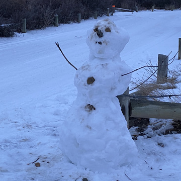 Frosty was here to greet us tonight.