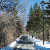 Sentier dans un parc en hiver
