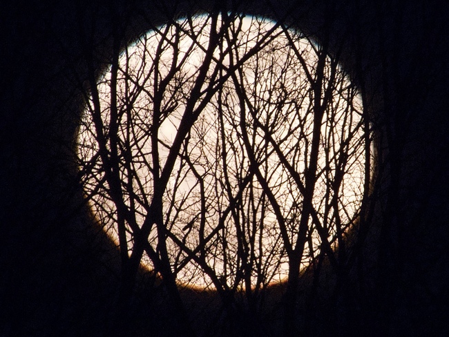 Moonrise Cambridge, ON