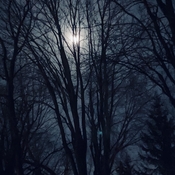 Beautiful Moon, Beautiful Night