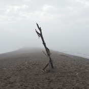 Foggy at the point at Point Pelee