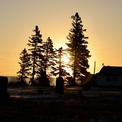 Sunrise on the cemetery.