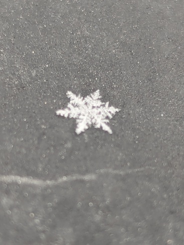 A March snowflake Ottawa, ON