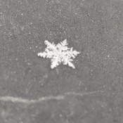 A March snowflake