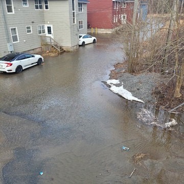 Back Yard Flooding (taken March 24th-Maclaren blvd)Theresa Williams