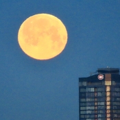 Coucher de pleine lune sur Montréal