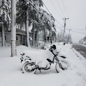 Pas de moto aujourd'hui, tempête de neige. (jg)