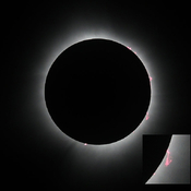 Solar prominences seen during totality