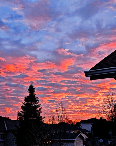 Sunset Sky Kingston, ON