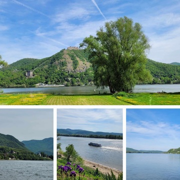 Spring in the Danube Bend