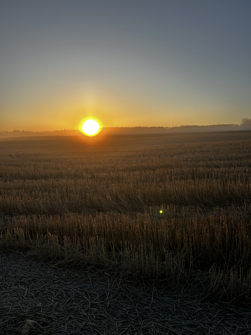 Morning walk Porcupine Plain, Saskatchewan, CA