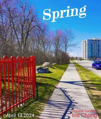 April 13 2024 Spring sprung! Beautiful Sunday afternoon! Iris Chong Toronto Thornhill, Vaughan, ON