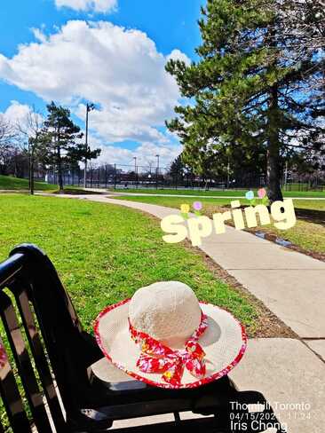 April 15 2024 13C Love in the Spring! Beautiful sunshine. Toronto Iris Chong Thornhill, Vaughan, ON