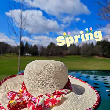 April 15 2024 13C I love Spring! Beautiful sunshine. Toronto Iris Chong