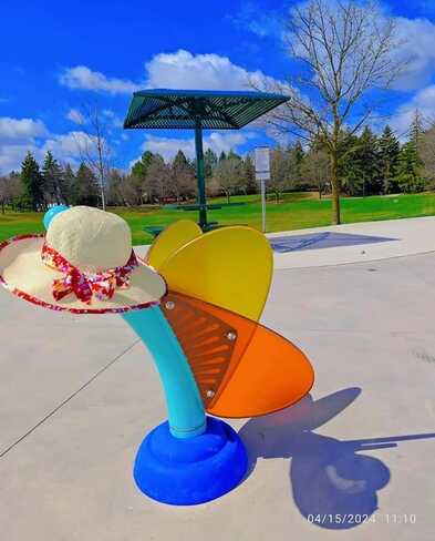 April 15 2024 13C I love Spring! Beautiful sunshine.Thornhill Toronto Iris Chong Thornhill, Vaughan, ON