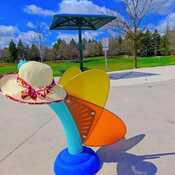 April 15 2024 13C I love Spring! Beautiful sunshine.Thornhill Toronto Iris Chong
