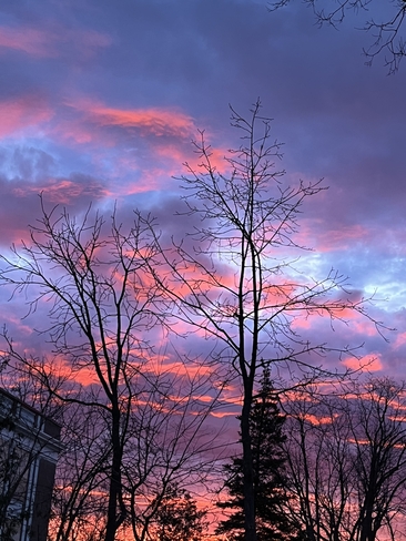 Unfiltered sunrise breathtaking! Bradford, Ontario | L3Z 1L2