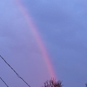 Pink rainbow
