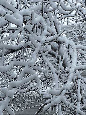 Winter Returns Waldheim, Saskatchewan, CA