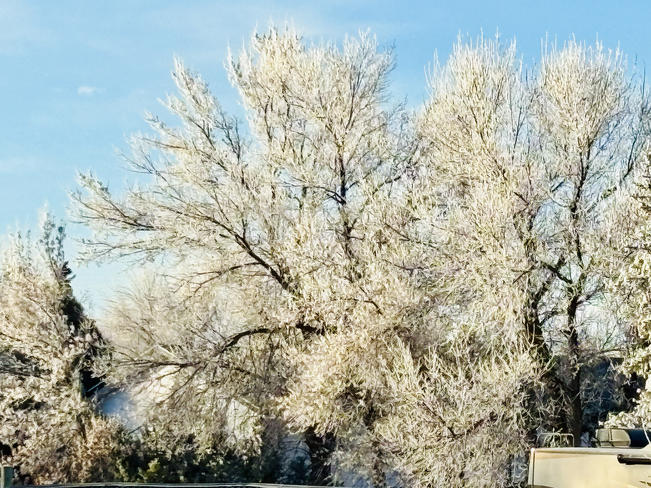 Frosty morning Coaldale, Alberta, CA
