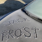 Frosty Morning