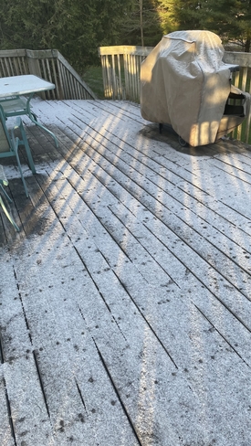 De la neige 🤬 Dunham, Québec, CA