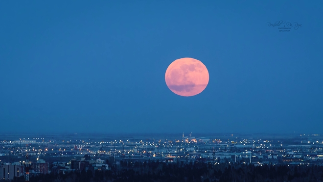 Pink Moon, Calgary Alberta Calgary, Alberta, CA