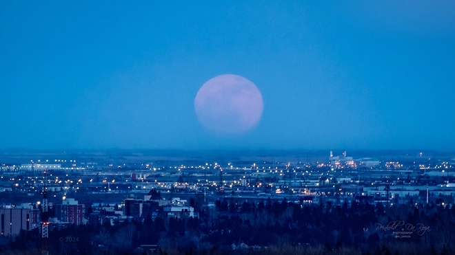 Pink Moon - Calgary Calgary, Alberta, CA