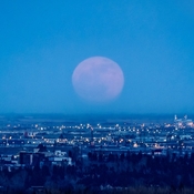 Pink Moon - Calgary