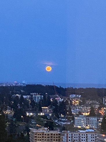 Orange Moon Victoria, British Columbia, CA