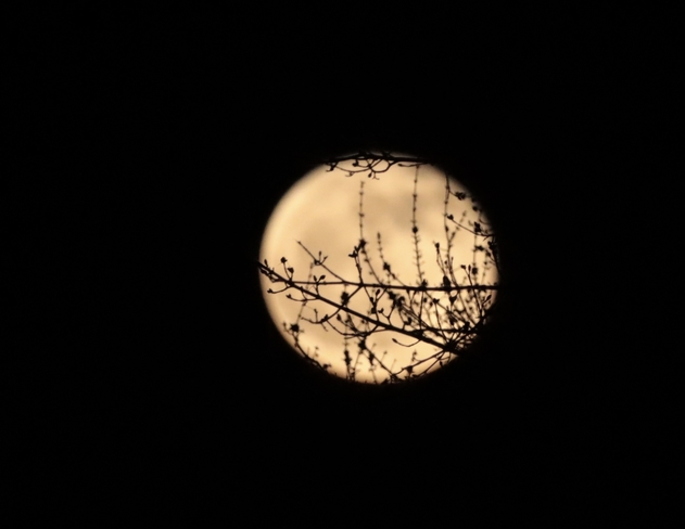 La lune sort ses dentelles pour vous séduire Trois-Rivières, Québec, CA