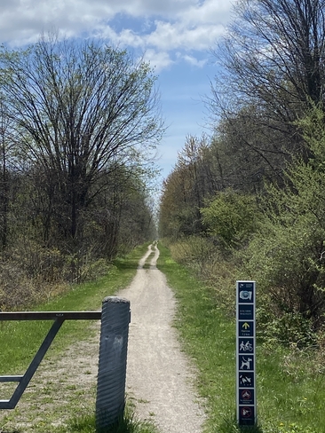 Greenway trail , greenery returns Harrow, Ontario, CA