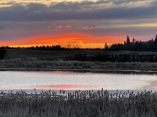 Elk Island sunset Ardrossan, Alberta, CA