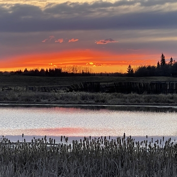 Elk Island sunset