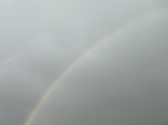Rainbow Edmonton, Alberta, CA
