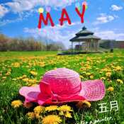 May 1 2024 First of May! Beautiful sunshine+vibrant color Iris Chong Thornhill