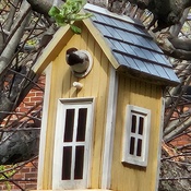 Chickadee house